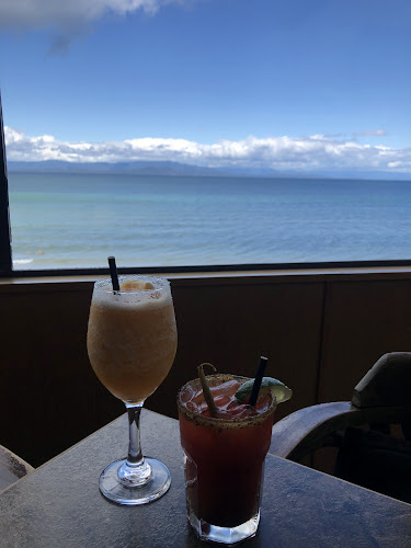 Shady Rest | Restaurant & Pub - Hospitality and gastronomy