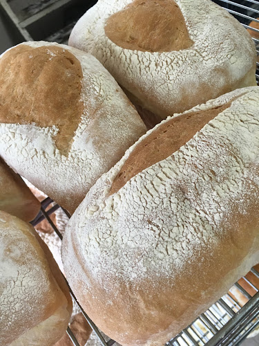 Opinii despre Baba's Dough Box în Regina - Hospitality and gastronomy