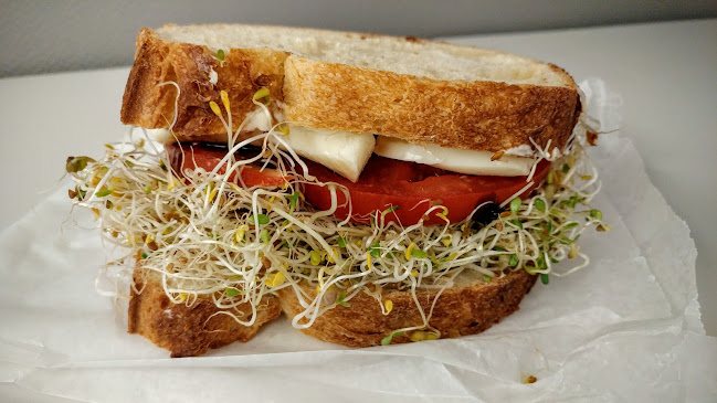 reactive Wellness Cafe - Hospitality and gastronomy