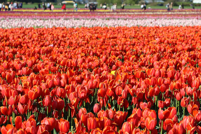 Greendale Liquor Store - Hospitality and gastronomy