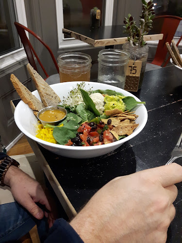 Healthy Rabbit - Hospitality and gastronomy