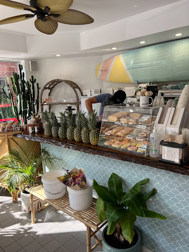 Tropical Blends - Hospitality and gastronomy