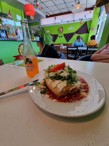 Mole Guacamole - Hospitality and gastronomy