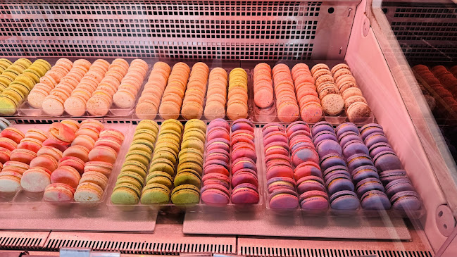 Comentarii opinii despre Quelque Chose