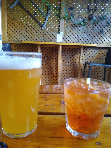 Comentarii opinii despre The Rebel House