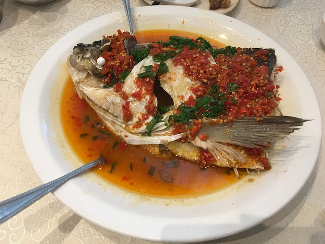 Comentarii opinii despre Tian Shi Fu Restaurant