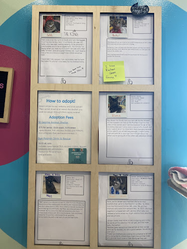 Opinii despre The Purrfect Cup - A Cat Cafe în Fredericton - Hospitality and gastronomy