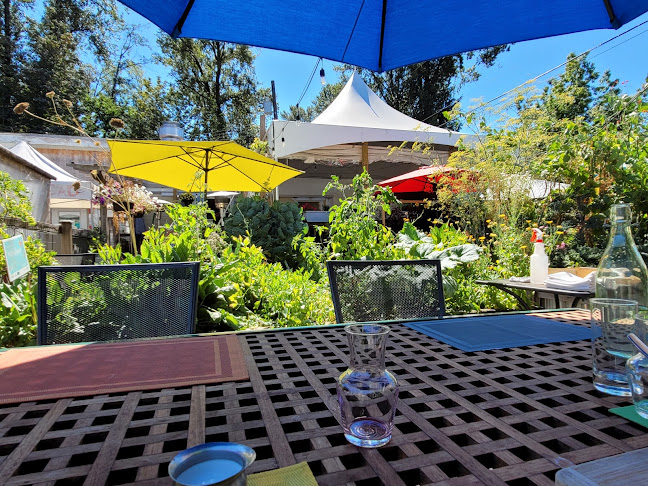 Opinii despre Orto Artisan Pasta în North Vancouver - Hospitality and gastronomy