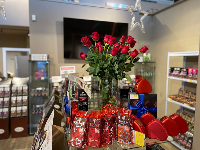 allanchocchoco - Hospitality and gastronomy