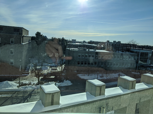 Comentarii opinii despre The Library Cafe