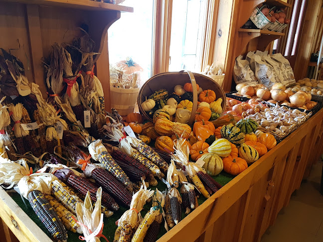 Opinii despre Howe's Farm Market & Country Bakery în St Thomas - Hospitality and gastronomy