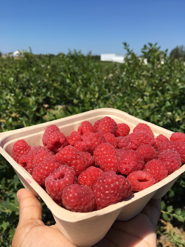 Opinii despre CanWest Farms Ltd. în Richmond - Hospitality and gastronomy