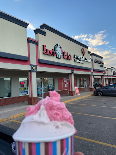 Comentarii opinii despre Enzo's Gelati