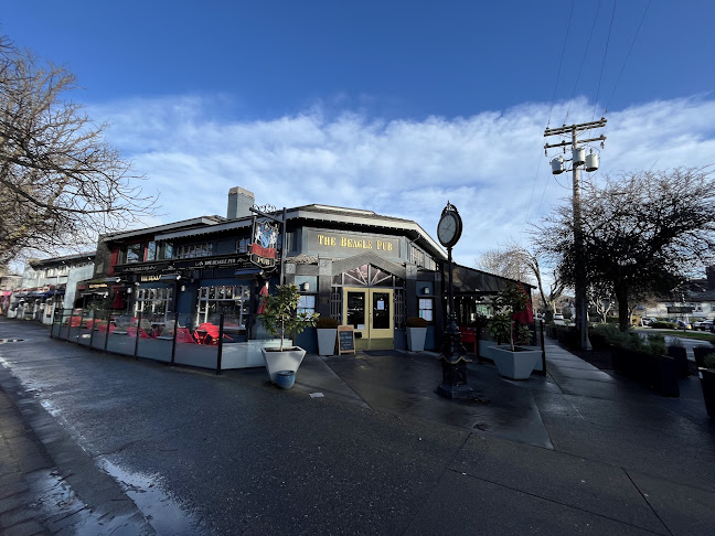 Beagle Pub - Hospitality and gastronomy