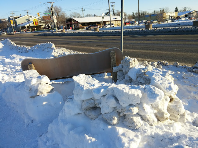 Comentarii opinii despre Chicken Chef