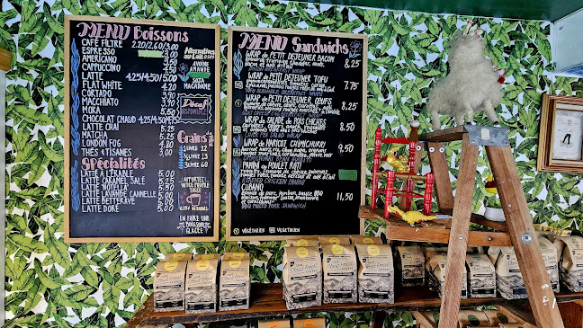 Café Cloudforest - Hospitality and gastronomy