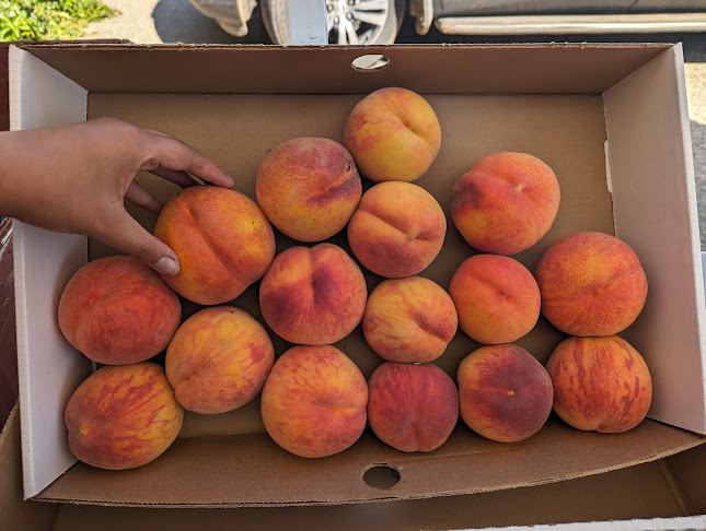 Comentarii opinii despre There & Back Again Farms