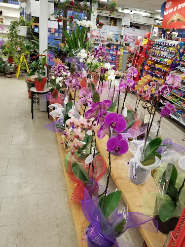 952 Brunette Ave, Coquitlam, BC V3K 1C9