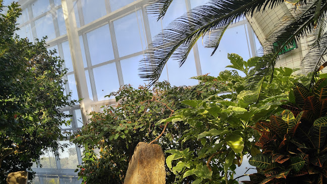 Comentarii opinii despre Garden Café