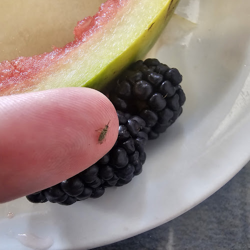 Opinii despre The Stock Pot Cafe în Kamloops - Hospitality and gastronomy