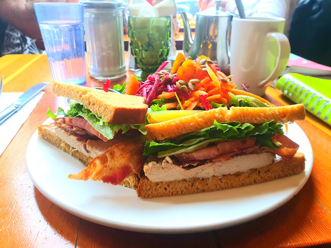 Blue Fox Cafe - Hospitality and gastronomy