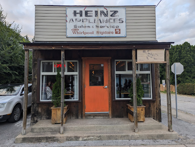 The Tangerine Tortoise