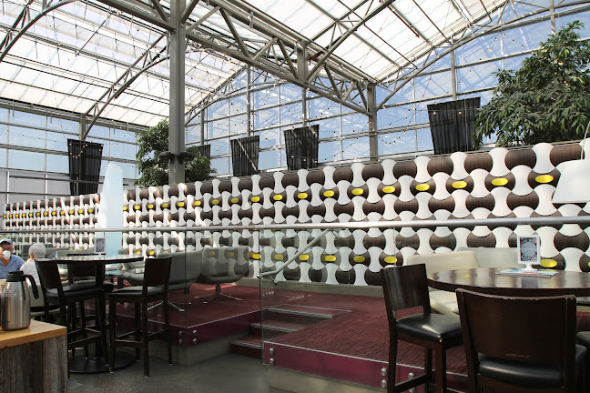 Comentarii opinii despre Glasshouse Kitchen|Bar