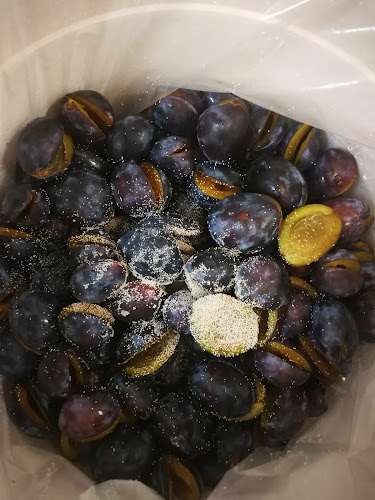 Wine Kitz Metral Place - Hospitality and gastronomy