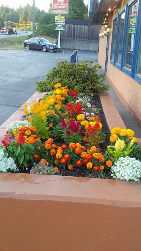 Comentarii opinii despre Bold Knight Restaurant