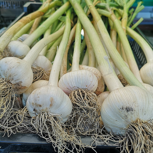 Comentarii opinii despre Cedar Farmer's Market