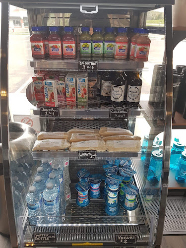 The Purrfect Cup - A Cat Cafe