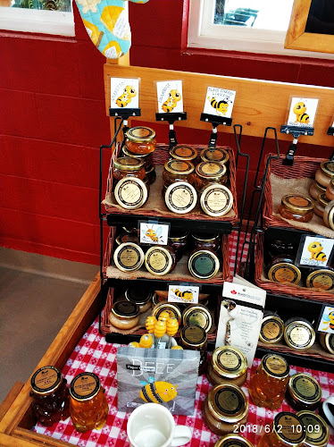 23823 72 Ave, Langley Twp, BC V1M 3K9