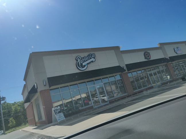 The Purrfect Cup - A Cat Cafe - Hospitality and gastronomy