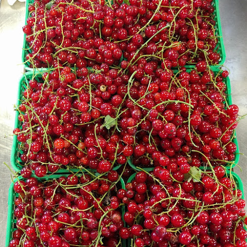 7375 Longwoods Rd, London, ON N6P 1L2