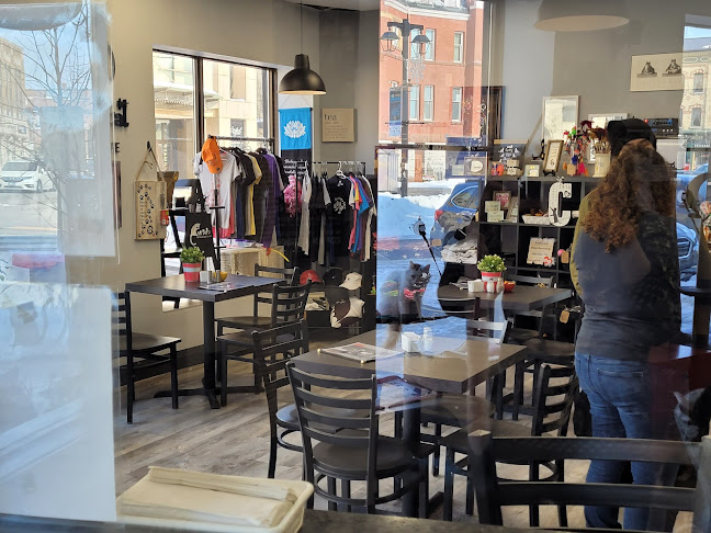 Opinii despre Alley Cat Cat Cafe în Stratford - Hospitality and gastronomy