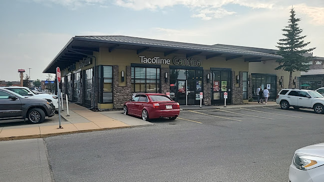 TacoTime - Hospitality and gastronomy