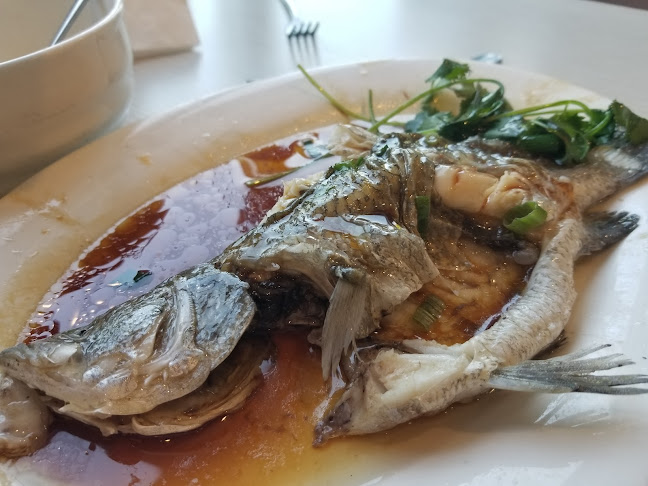 Lucky Joy Restaurant(Best Price on Website!) - Hospitality and gastronomy