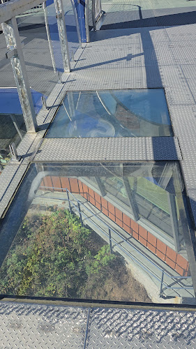 Opinii despre The Baratie - Reversing Falls Restaurant at Stonehammer UNESCO Global Geopark în Saint John - Hospitality and gastronomy