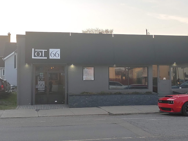 Comentarii opinii despre Lot 66