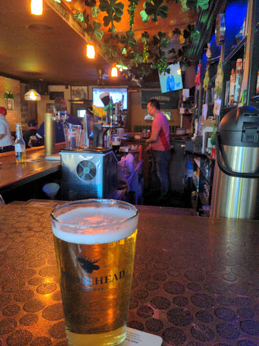 The Irish Rose Pub - Hospitality and gastronomy