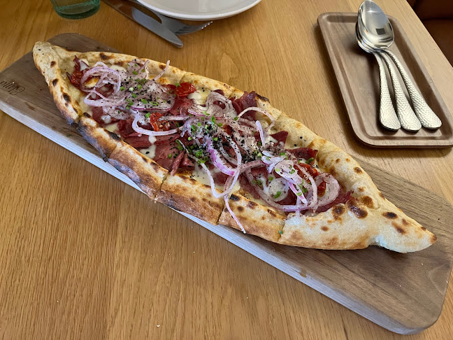 Comentarii opinii despre Elma