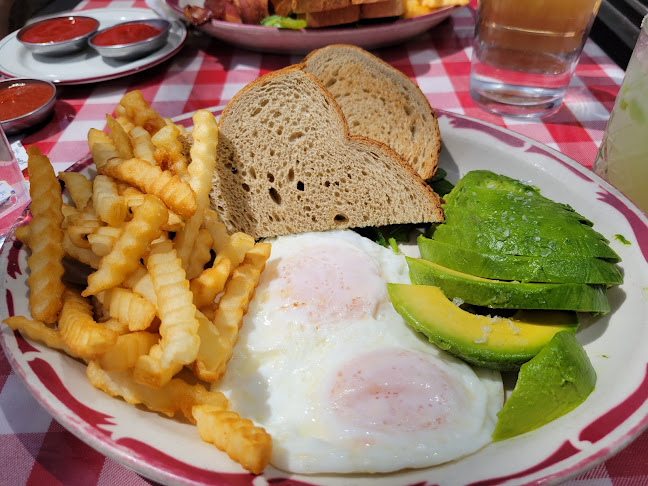 Skyline Restaurant - Hospitality and gastronomy