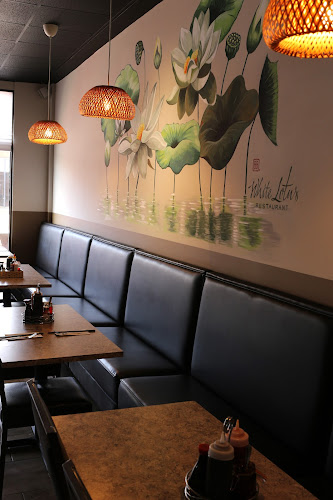Opinii despre White Lotus Restaurant în Saskatoon - Hospitality and gastronomy
