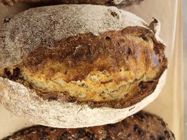 Pinetree Catering - Hospitality and gastronomy