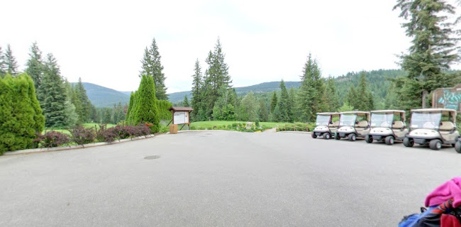 Comentarii opinii despre Ironwood Restaurant