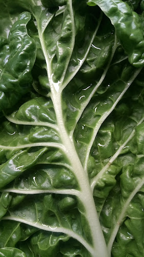 Comentarii opinii despre Phil's Place - Fruit and Vegetables