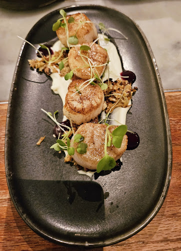 Comentarii opinii despre Pearl Diver