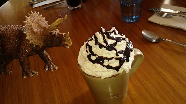 Blue Fox Cafe - Hospitality and gastronomy