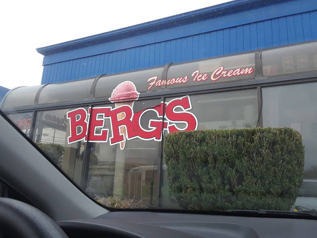 Bergs Famous Ice Cream - Hospitality and gastronomy