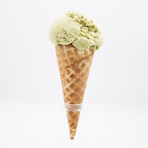 390 Osborne St, Winnipeg, MB R3L 1Z9